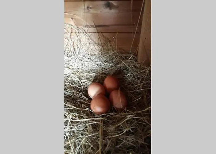 Сasa de vacaciones Inge *